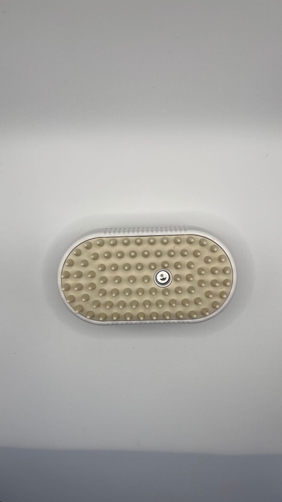 3-in-1 Mist Pet Brush