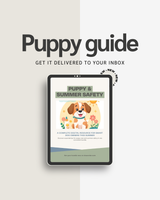 Puppy & Summer Safety Bundle (Digital Download)