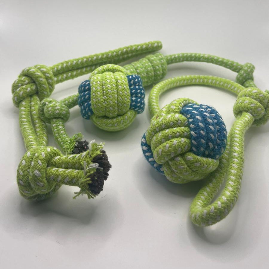 Summer Doggie Bundle