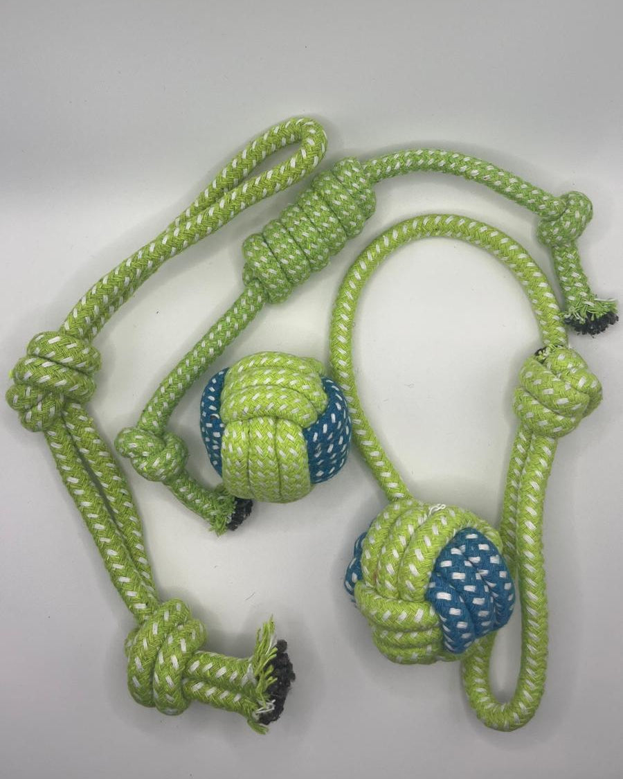 Summer Doggie Bundle